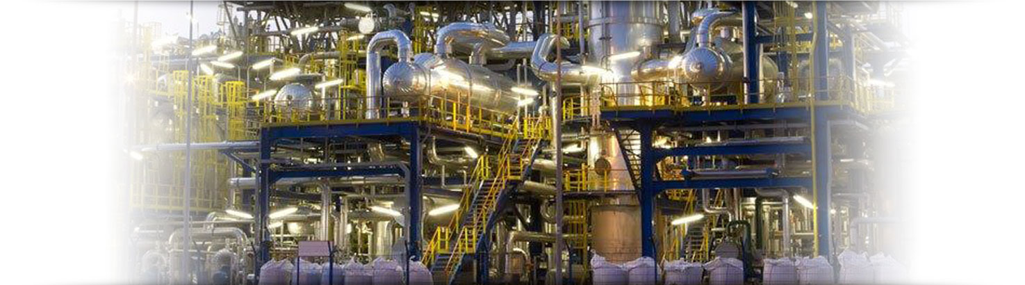 Progetto Aperto Group : companies network